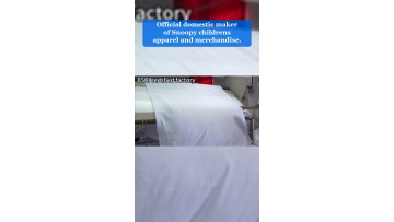 Video 3