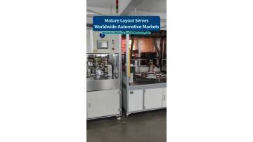  Premium Support for New Energy Vehicles