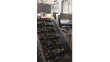 abalone blanching