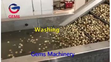quail egg processing line