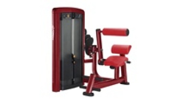 back extension gym machine