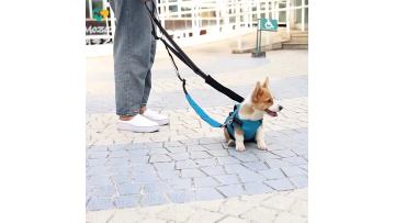 Best Performance Dog Harness
