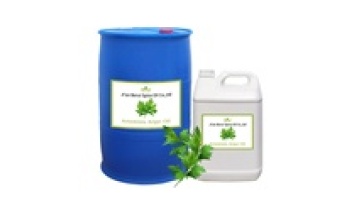 Pure Natural Artemisia Blumea Essential Oil for Aromatherapy and Massage1