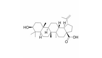 Betulinic acid powder