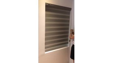 New Design Stripe Zebra Roller Shade