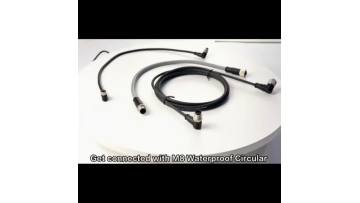 M12 to M8 Male Injection Plug 1m PVC Cable Connector with 2 Female Splitter Y Cable