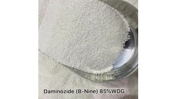 Daminozide 85% WDG