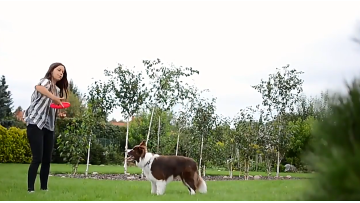 FRISBEE VIDEO