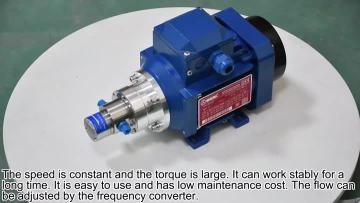 0.30cc Gear pump