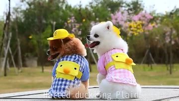 222222