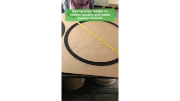 Video 24