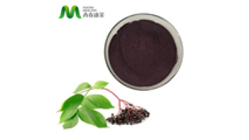 Top Quality Bulk 25% Anthocyanins Black Elderberry Extract Powder1