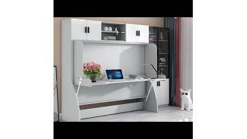 murphy bed.mp4