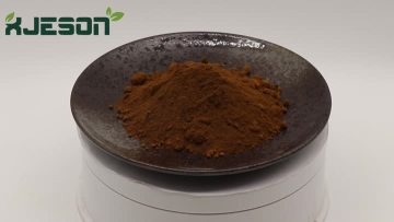 Polygonum Multiflorum Polysaccharide Powder