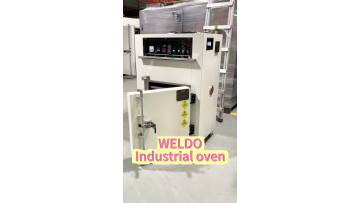 Industrial oven (2)