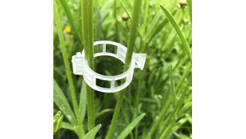 Plant fixing clip tied vine clip tomato clip for v