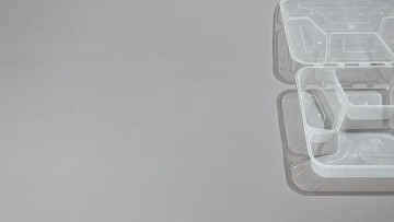 disposable box food container