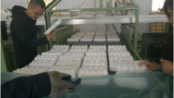 Styrofoam making machine for making PS disposable foam absorbent tray egg tray chicken meat plate tray dish1