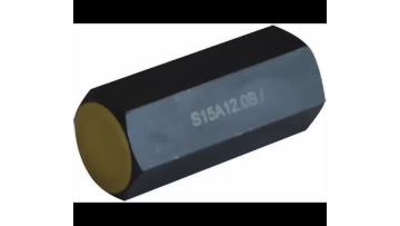 Pipe-Type Check Valve S15A