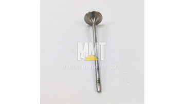 Inlet Valve 468-8824