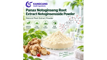 Bulk Panax Notoginseng Extract 10% Notoginsenosides Powder