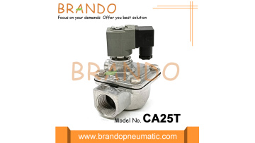 CA25T Frida