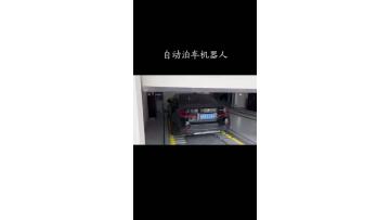 Popular AGV Parking Robot Solution for Efficient Automation