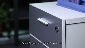 Finger Print Cabinet Lock DYLO1-Z