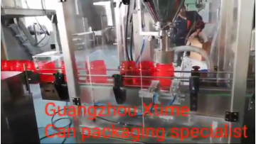 Automatic Pill Coffee Collagen Quantitative Acrylic Soda Pet Fill Cocoa Nail Acrylic Protein Powder Filling Packaging Machine1