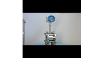 DN65 Vortex flowmeter (2)