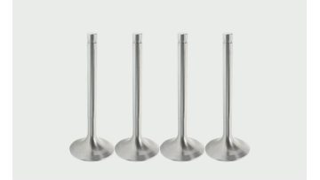 462-1007010 VALVE EXHAUST