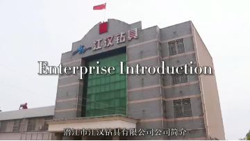 公司介绍（完整字幕）.mp4