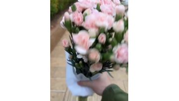 Liunian single headed carnation
