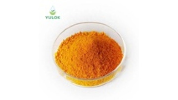 Hot Sell High Quality Multipurpose Food Grade Coenzyme Q10 Supplements Powder1