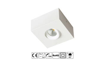surface mounted downlight