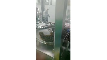 Single-head vial filling machine