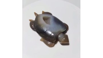 High Quality Natural Gray Agate Druzy Carving Animal Agate Geode Turtles for Crystal Craft1