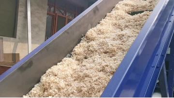 hbd shavings