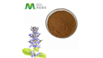 Wholesale China Product 100% Pure Ajuga Turkestanica Extract1