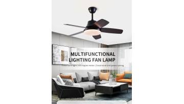 Modern Nordic Style LED Ceiling Fan With Light