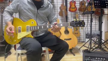EG9-GD D-custom electric guitar