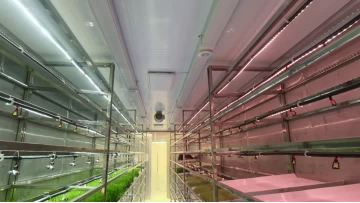 Internal video of the forage container 1