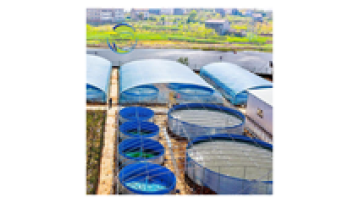 Low-Investment Fish Pool Farming: High Income PVC Tarpaulin Fish Tank System1