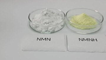 98% NMNH powder