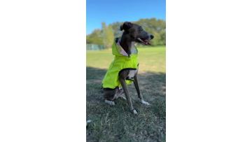 NWW-1004 Jacket