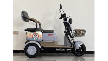 Leisure electric tricycle