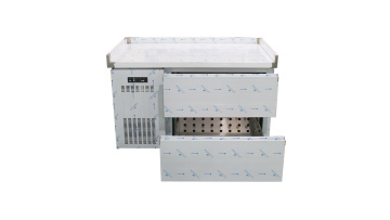 Custom 2-drawer refrigerator