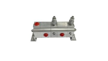 Two-way synchronous motor