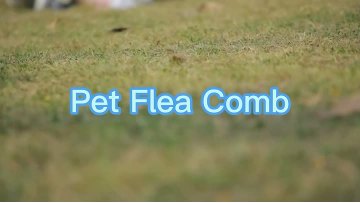 Dog and cat flea lice comb