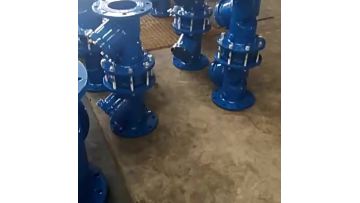 DF41X backflow preventer
